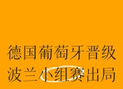 开运体育电脑版-德国险胜波兰，小组头名争夺激烈的简单介绍