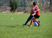 开云体育直播平台-雷恩前锋连续进球，成为球队锋线保障